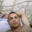 Penaldo