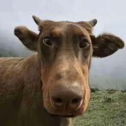 超级阿蛋我的伙伴