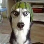 成都周杰伦xdd11111111