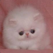 Firestarter - steam id 76561197963197253