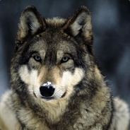 ☾★ [KARAHANLI] ☾★