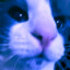 chiffy
