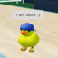 duck