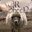 WarSheep