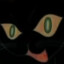 coolcat88