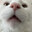 CrustyCat