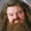 Hagrid