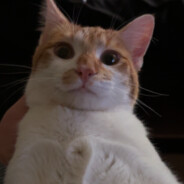 PapiSosa's Avatar