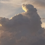 Коди и Таблетка