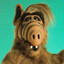 Alf