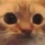 3466757