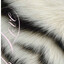 Avatar of player .//bjork