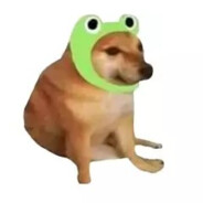 我是菜B