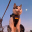 sputnik