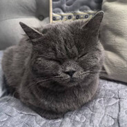 橘子不甜就是酸