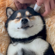 这一口会很疯狂