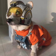 薯条只喝冰美式