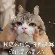 鼓捣猫宁