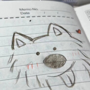 淡奶油你是我的神