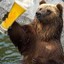 the_beer_bear