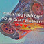 Free Air Roll Expert washed fr's avatar