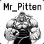 Mr_Pitten