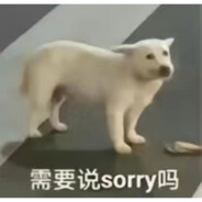 需要说sorry吗？