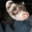 Ferreti's Avatar