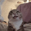 rigby who yaps too much
