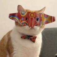 CatNeverSmile