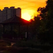 一弦一柱思华年