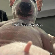 Poćwicz (ง'̀-'́)ง