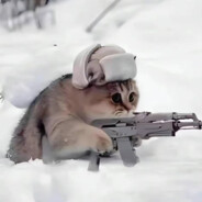 了解你的捍胃者