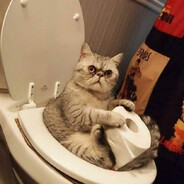 Kitty Snacks
