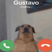 Gustavo is calling.CSGOSKINS