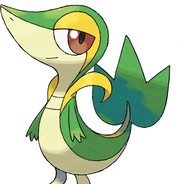 电脑玩家小草蛇