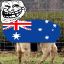 =KoL= AussieTrollpaca