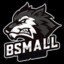 BSmall