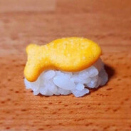 ocean mammal with lung - steam id 76561198148547760