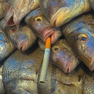 我道你很急但让我先急ok