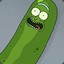 Pickle Rick!!!
