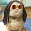 gato marley