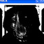 smile.jpg