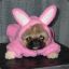 .::PeKiNeS::.