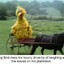 BIG BIRD