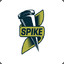 Spike