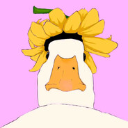 Duck avatar