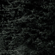 Истрбтел мл.((