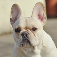 不知道叫什么名字