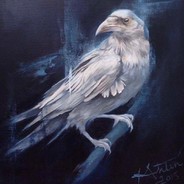 White Raven